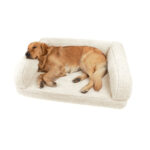 sides_bumper_style_dog_bed_01