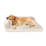 2_Sided_Bumper_Chaise_Bed_Gold_Dog_Model