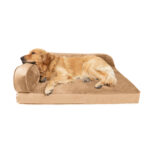 2_Sided_Bumper_Chaise_Bed_Gold_Dog_Model