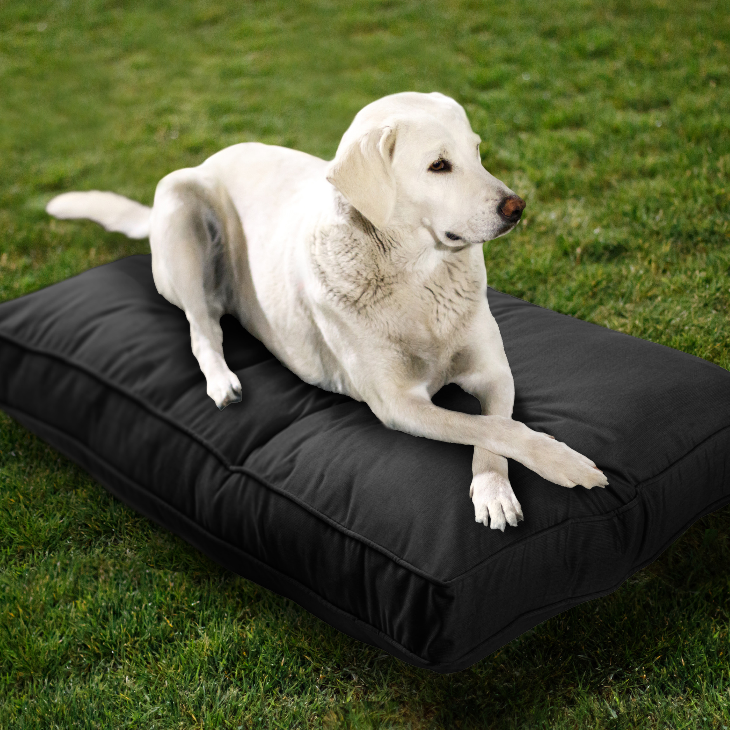 Sunbrella_DogBed_Lifestyle_Black