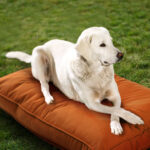 Sunbrella_DogBed_Lifestyle_Black