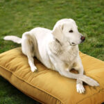 Sunbrella_DogBed_Lifestyle_Black