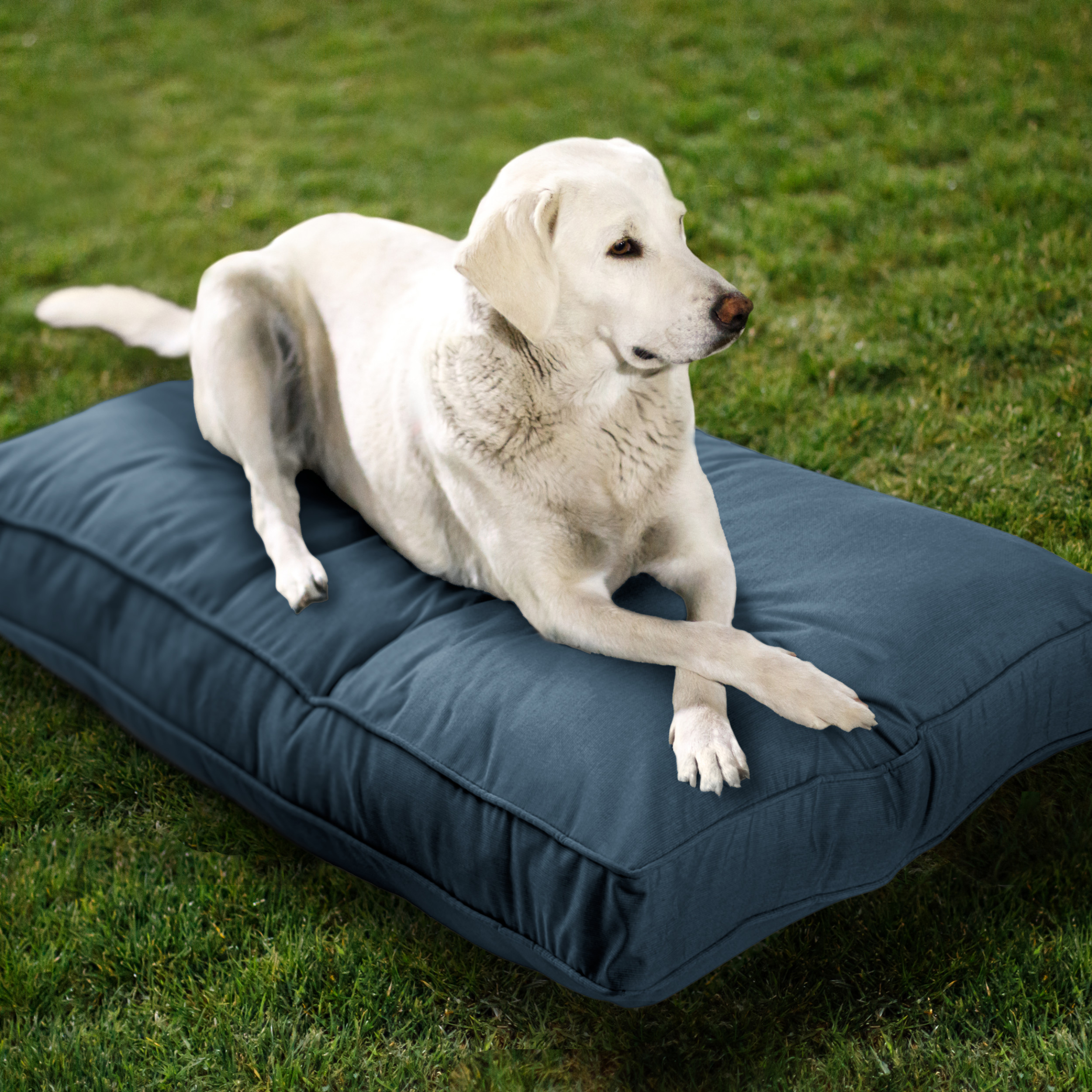 Sunbrella_DogBed_Lifestyle_Denim