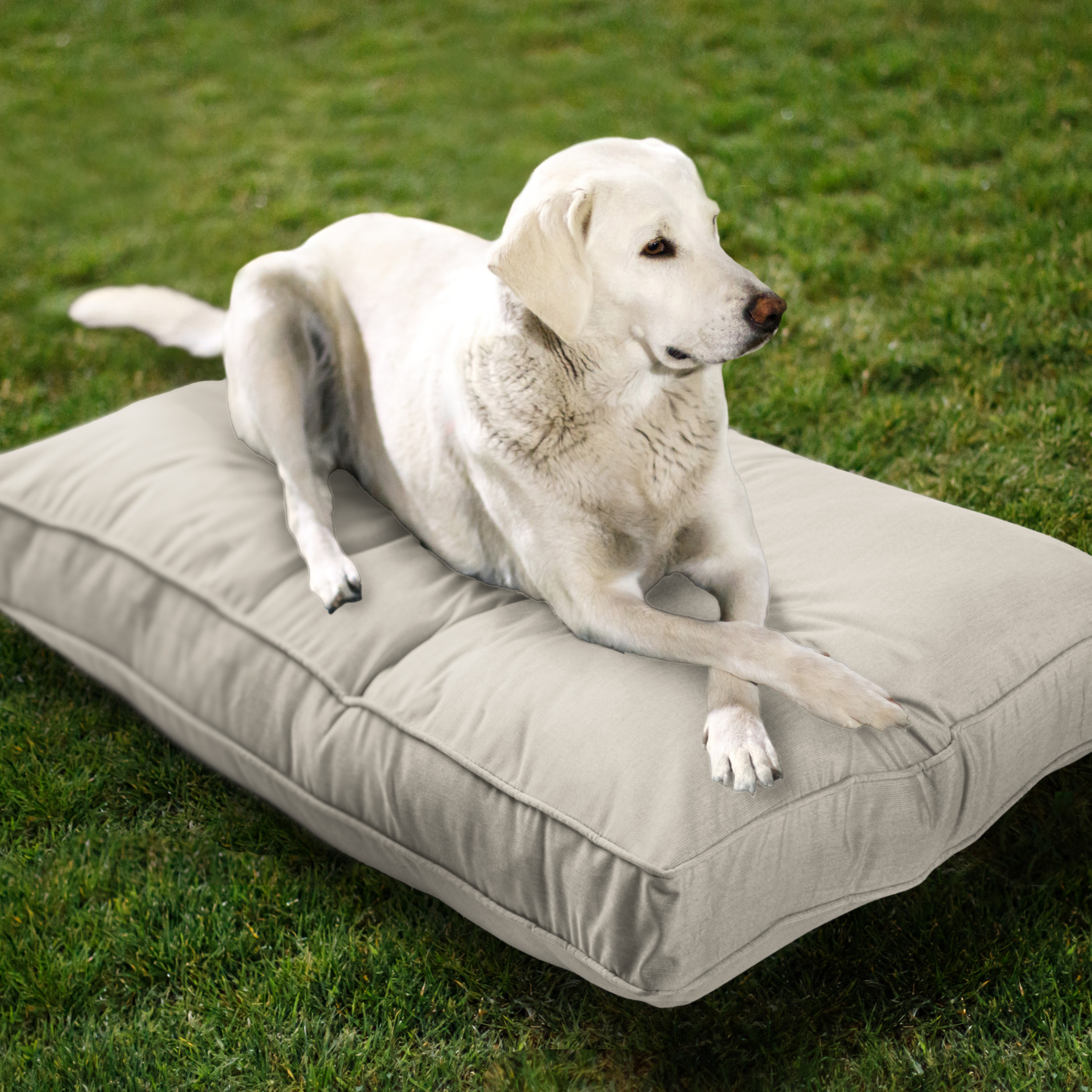 Sunbrella_DogBed_Lifestyle_Eggshell
