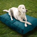 Sunbrella_DogBed_Lifestyle_Black