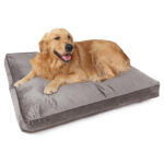 Velvet-pet-ped_