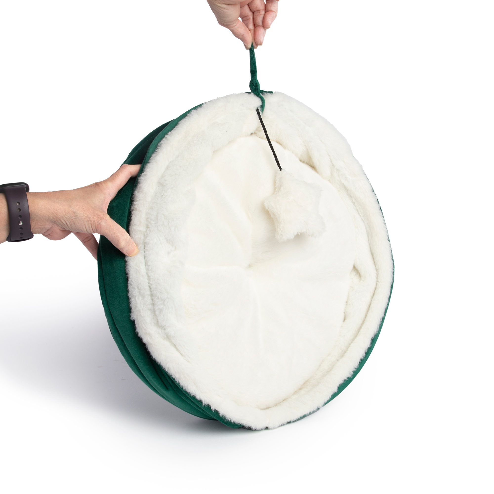 Micro_Mink_Cathut_Green_Collapsed