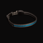 LED-Collar-Blue-Charger