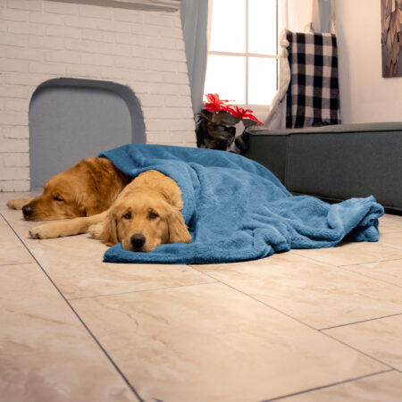 Faux Fur Blankets