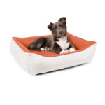 Sunbrella_Rectangular_Cuddler_Ceyenne-Eggshell_Lifestyle